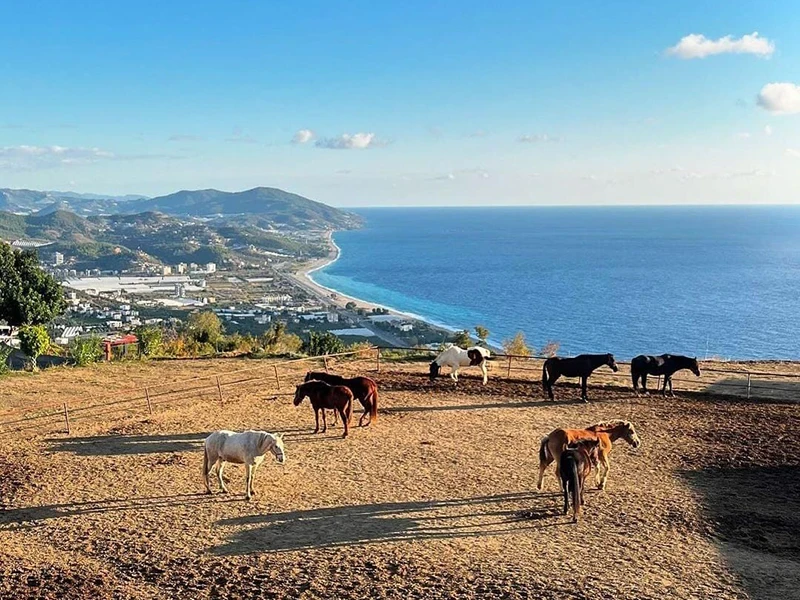 Horse Riding in Alanya — Horseback Riding on Picturesque Trails of Taurus Mountains
