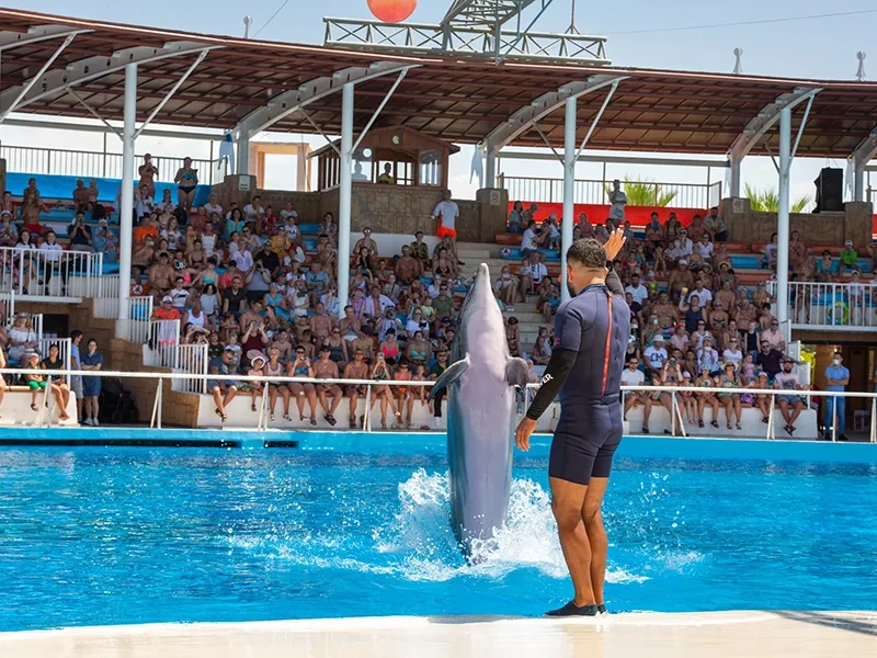 Морской парк и дельфинарий Сиаланья в Алании