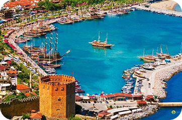 Wycieczki w pobliżu